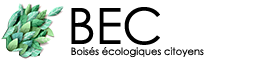 Logo BEC